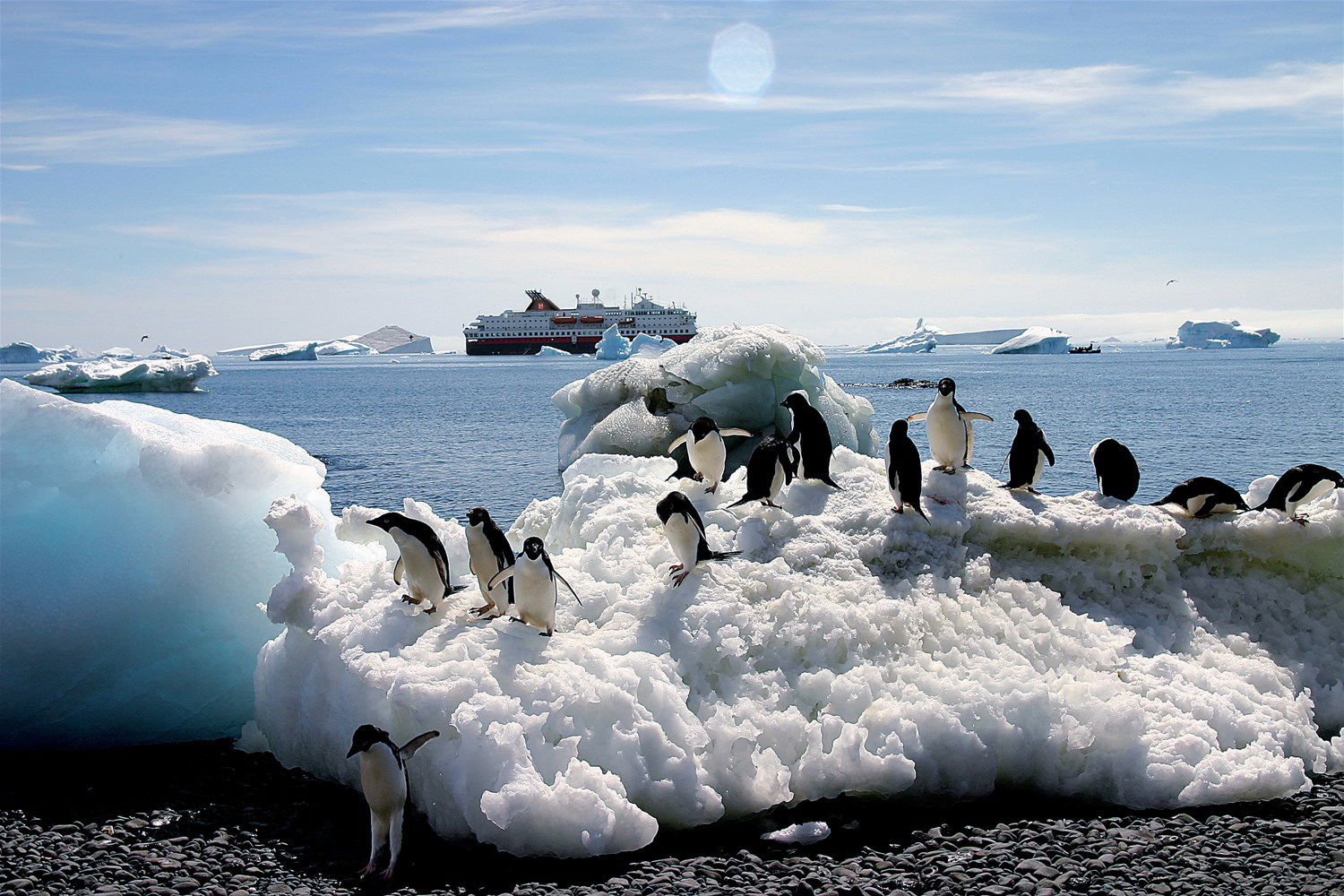 Antarctica Holidays 2024/2025 Trailfinders